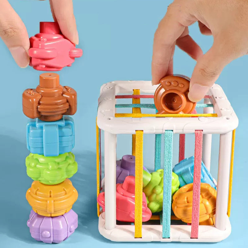 Jeu de Tri de Blocs en Formes Colorées pour Bébé